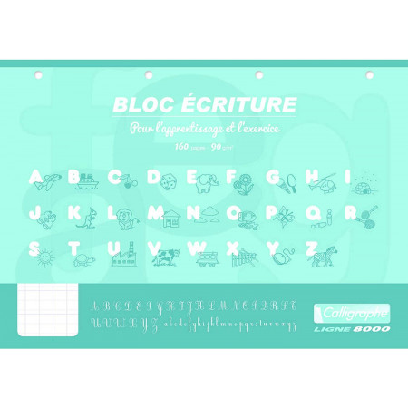 BLOC ECRITURE 160P 90G DL3MM A4