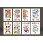 CARTES DE COLORIAGE EN RELIEF - SWEET DELICE- 16 CARTES ET 8 DESIGN CHAMELEON PENS