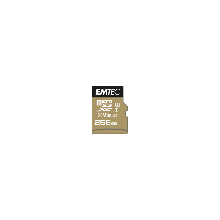 MICRO SD CARD 256GO