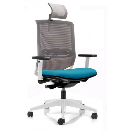 FAUTEUIL DE BUREAU " KENO C ONE " CADRE BLC/TET