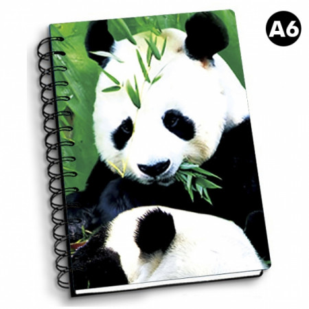 NOTEBOOK 3D A6 PANDAS