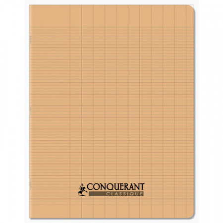 CAHIER POLYPRO 17*22 96P SEYES ABRI PAST