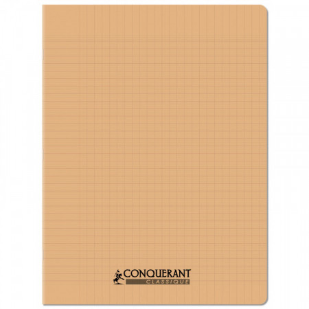 CAHIER POLYPRO 24*32 96P SEYES ABRI PAST