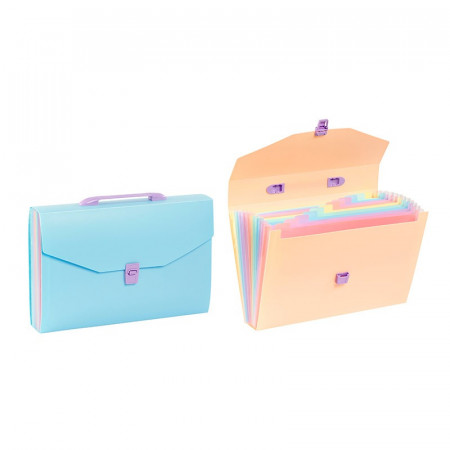 TRIEUR VALISETE 12 COMPAR RAINBOX PAST