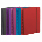 AGENDA 15X21 OXFMYFAB 1S2P ASS