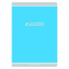 CAHIER CQ AGR A4 48P 90G SEYES ASS
