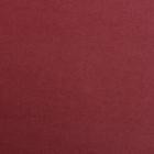 Papier Maya bordeaux 50x70 cm 270 g – Étui 25 feuilles Clairefontaine