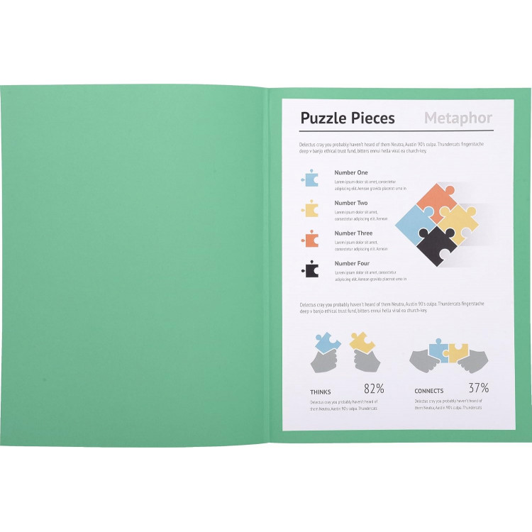 Paquet de 100 chemises Exacompta JURA 250 vert jade – A4 carte rigide