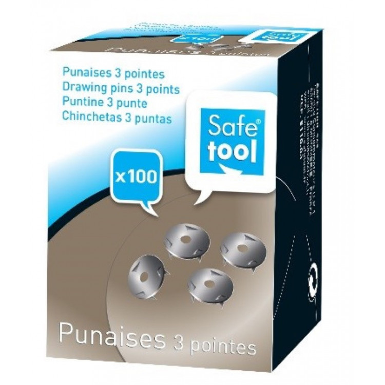 BTE DE 100 PUNAISES 3 POINTES