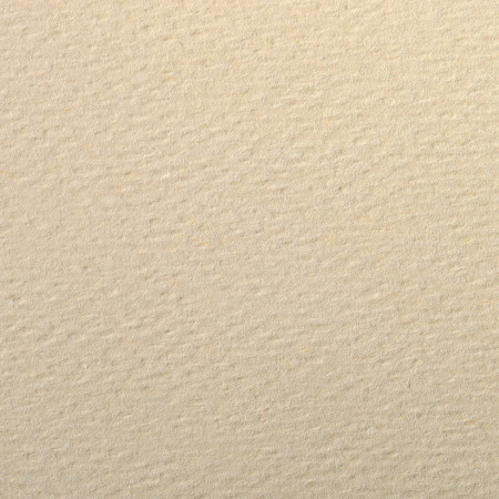 PAPIERS COULEURS 50X65 160GR - IVOIRE