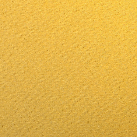 PAPIERS COULEURS 50X65 160GR - JAUNE BOUTON D'OR