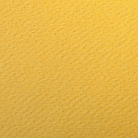 PAPIERS COULEURS 50X65 160GR - JAUNE BOUTON D'OR