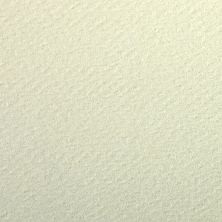 PAPIERS COULEURS 50X65 160GR - TILLEUL