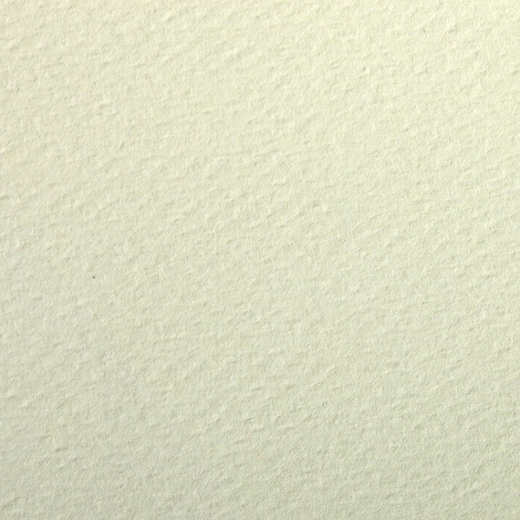 PAPIERS COULEURS 50X65 160GR - TILLEUL